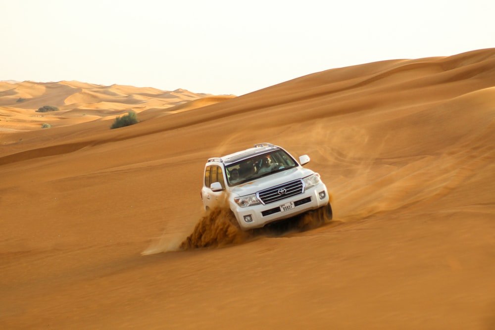 safari'