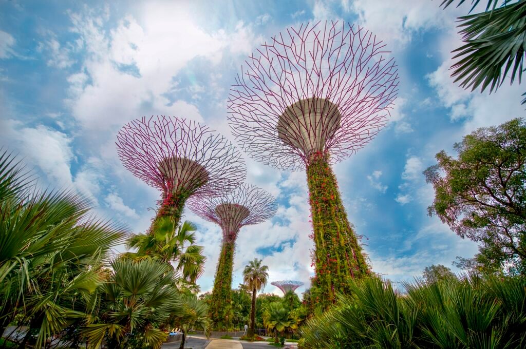 supertree grove, architecture, landmark-5541545.jpg