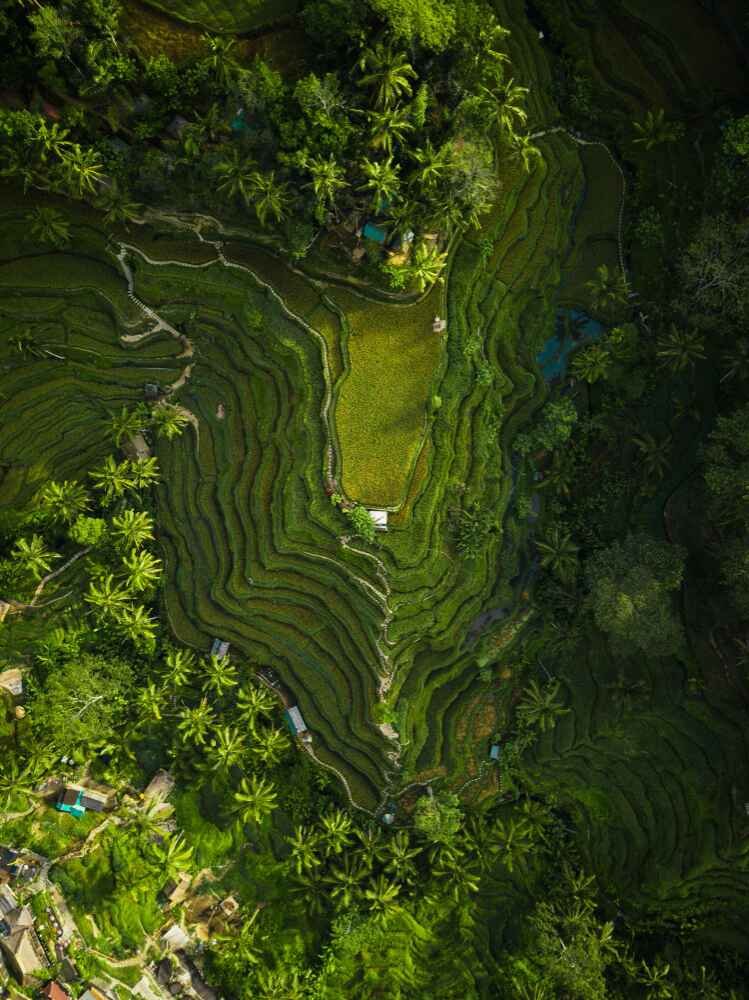 KERALA TOUR PACKAGES