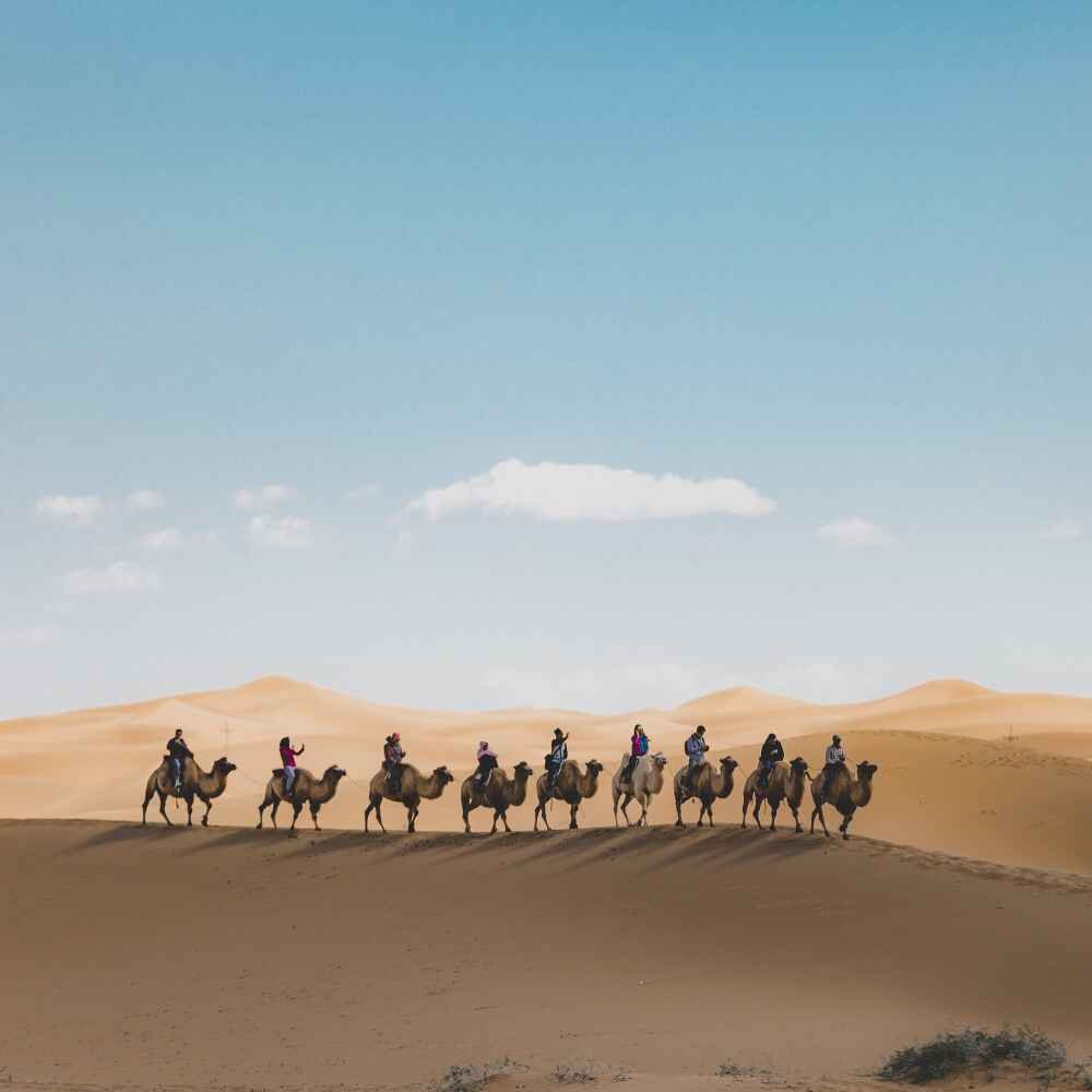 RAJASTHAN TOUR PACKAGES