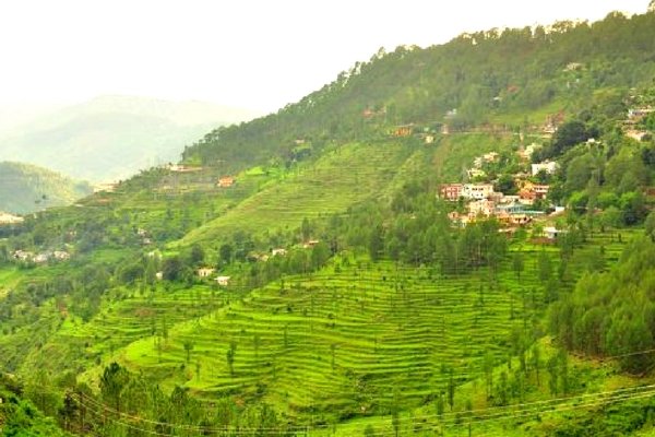 almora