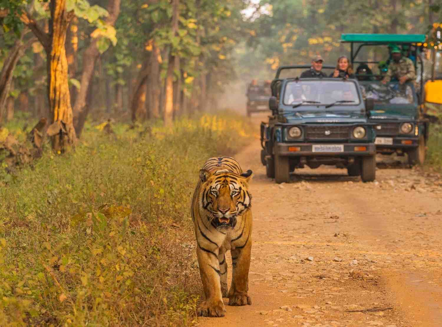 mudumalai-tiger-reserve